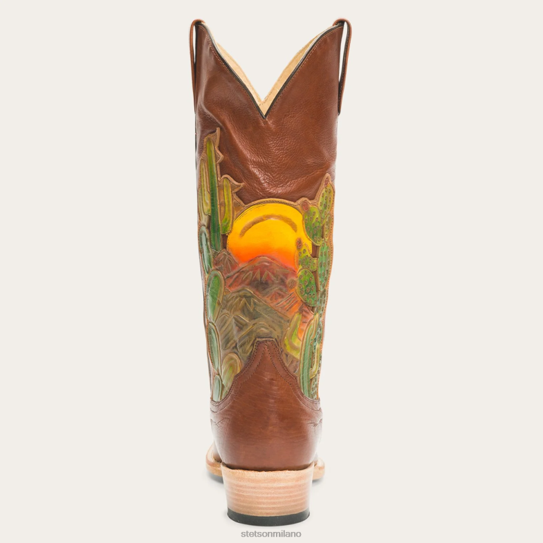 Stetson stivali dorati 6BP6J256 calzature marrone donne