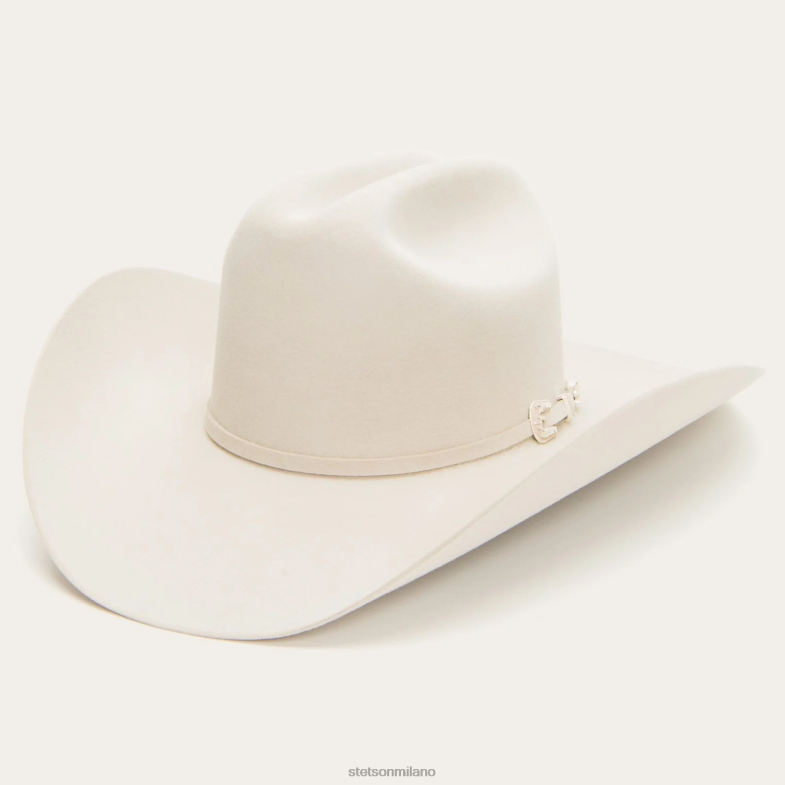 Stetson cappello da cowboy skyline 6x 6BP6J5 copricapo pancia d'argento unisex
