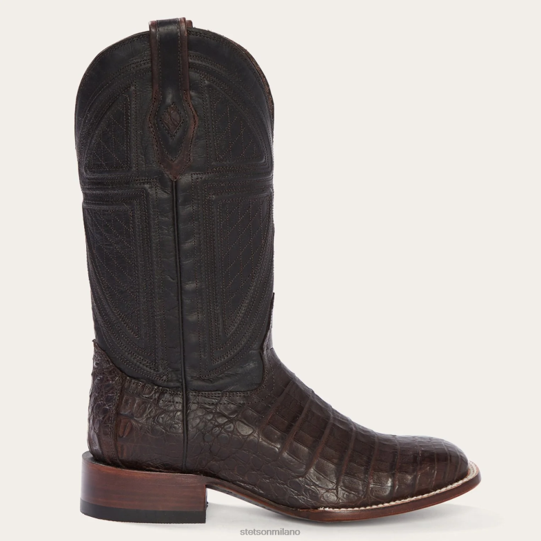 Stetson Kaycee stivale da cowboy marrone con pancia di caimano 6BP6J220 calzature abbronzatura uomini