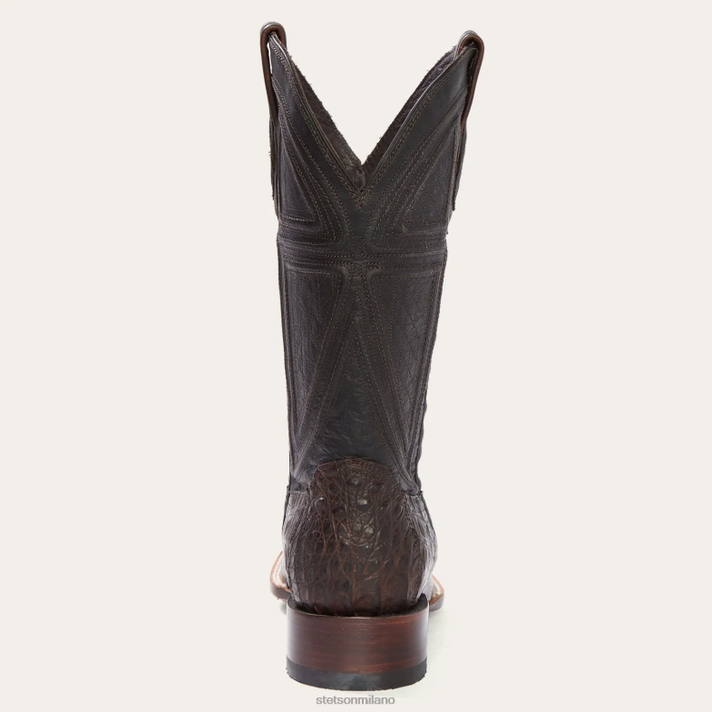 Stetson Kaycee stivale da cowboy marrone con pancia di caimano 6BP6J220 calzature abbronzatura uomini