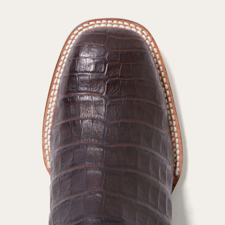 Stetson Kaycee stivale da cowboy marrone con pancia di caimano 6BP6J220 calzature abbronzatura uomini