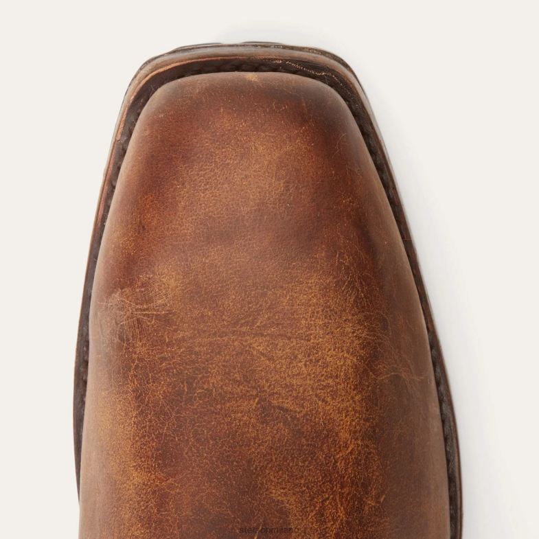 Stetson imbracatura del patrimonio 6BP6J230 calzature marrone uomini