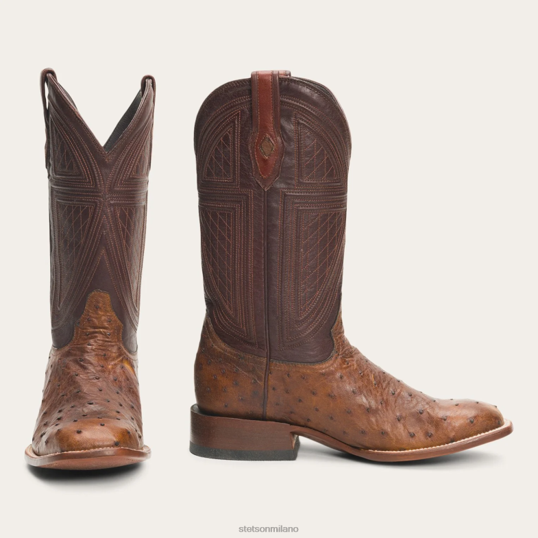 Stetson stivali Jackson 6BP6J243 calzature marrone uomini