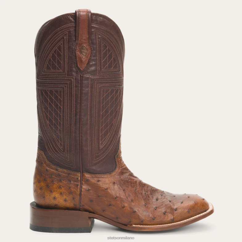 Stetson stivali Jackson 6BP6J243 calzature marrone uomini
