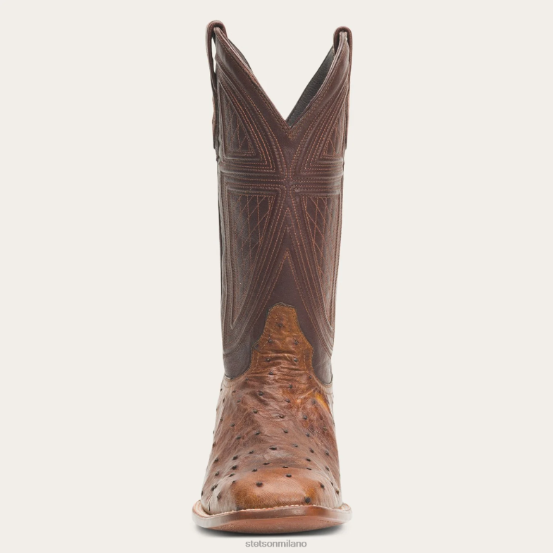 Stetson stivali Jackson 6BP6J243 calzature marrone uomini