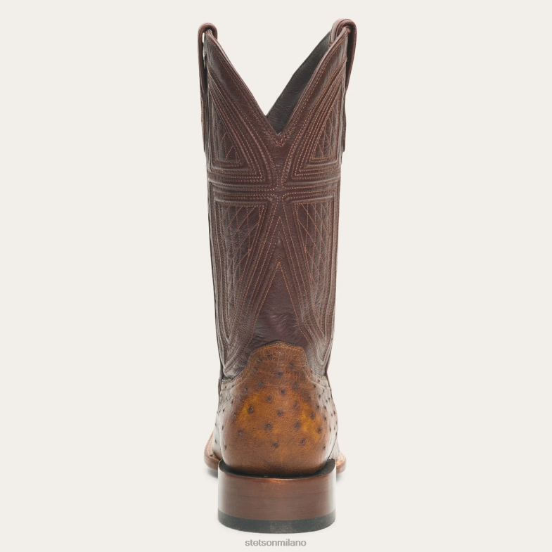 Stetson stivali Jackson 6BP6J243 calzature marrone uomini