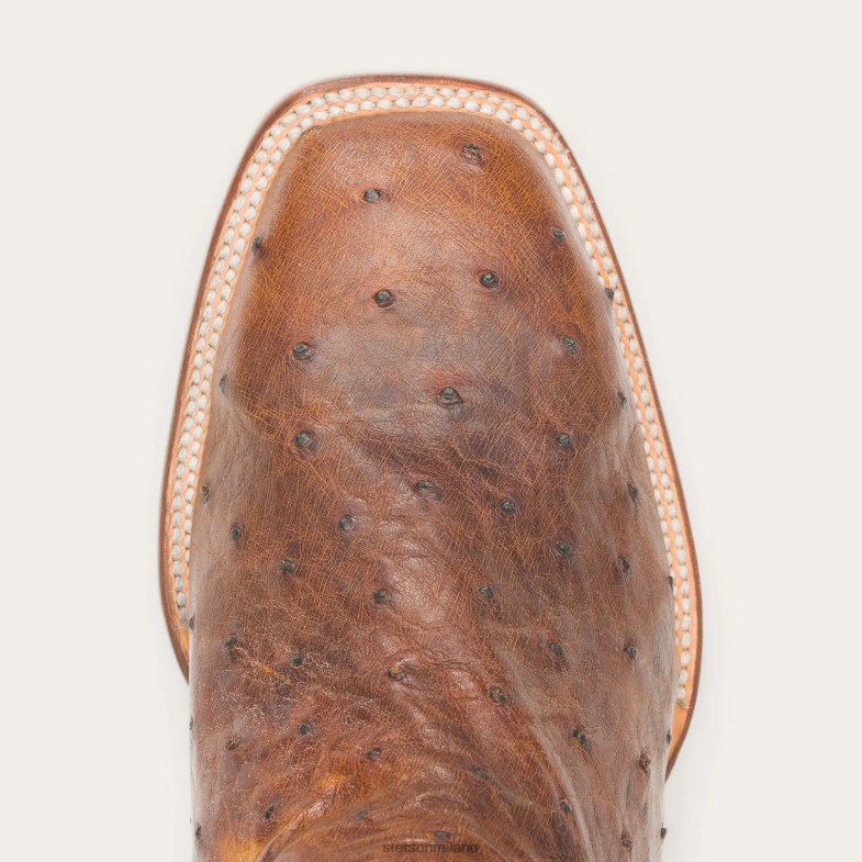 Stetson stivali Jackson 6BP6J243 calzature marrone uomini
